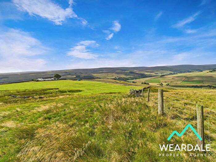 3 Bedroom Detached House For Sale In Near Stanhope, Weardale, DL13