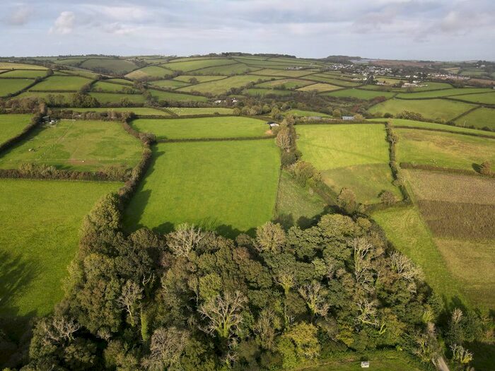 Land For Sale In Blackawton, Totnes, TQ9