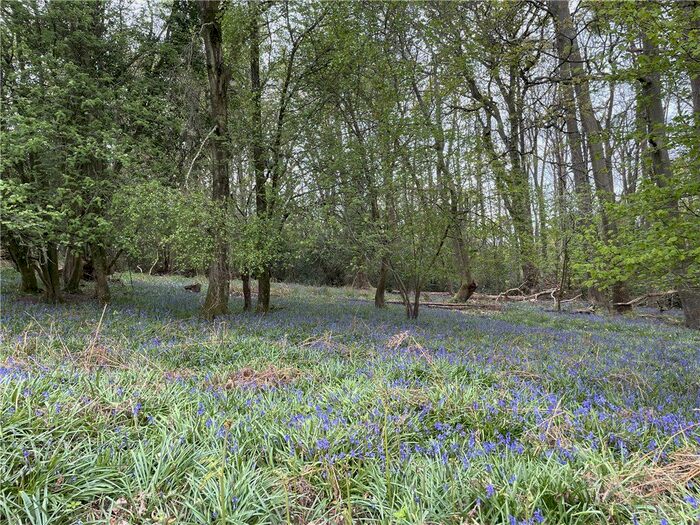 Land For Sale In Waterloo Road, Corfe Mullen, Wimborne, BH21