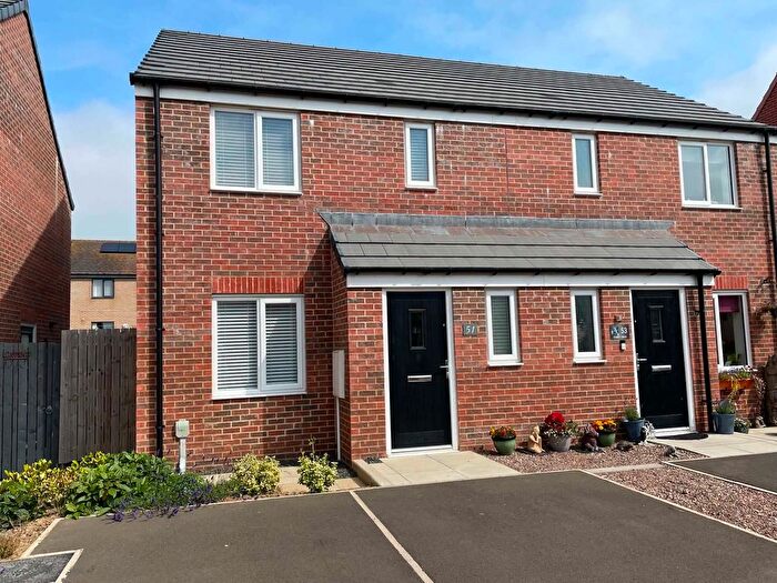 3 Bedroom Semi-detached House For Sale In Gannet Drive, Amble, NE65