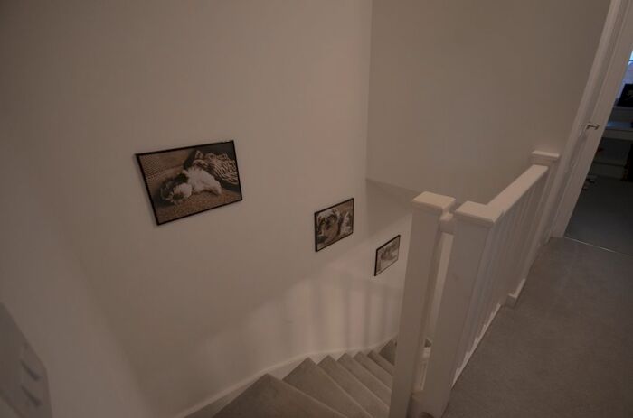 4 Bedroom Town House To Rent In The Avenue, Priors Hall Park, Corby, NN17