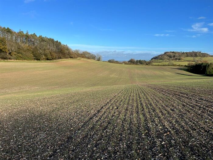 Land For Sale In Minterne Magna, Dorchester, Dorset, DT2
