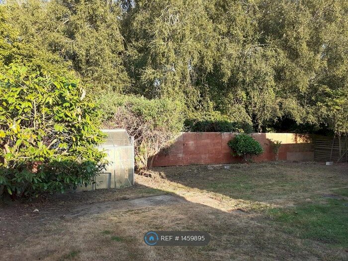 3 Bedroom Bungalow To Rent In Maldon Road, Witham, CM8