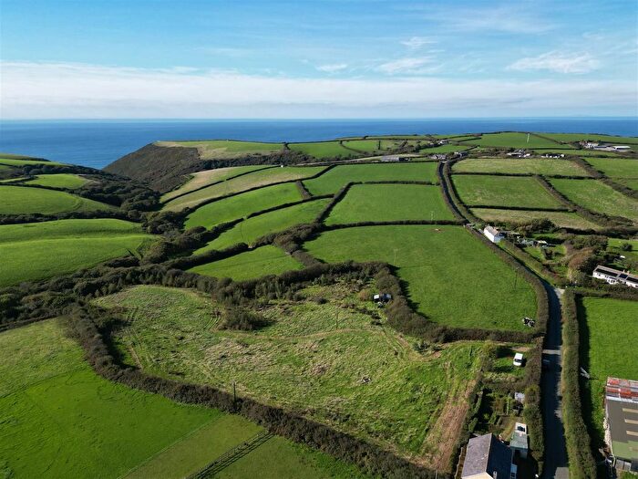 Land For Sale In Dizzard, Bude, EX23
