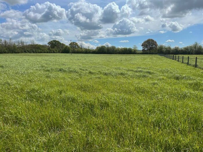 Land For Sale In East Orchard, Shaftesbury, Dorset, SP7