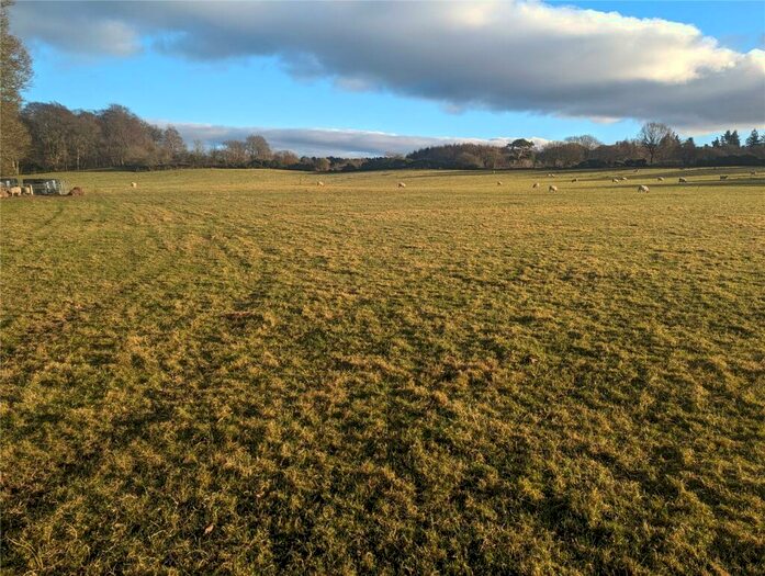 Land To Rent In Land At Hayton - Whole, Carlisle, CA8