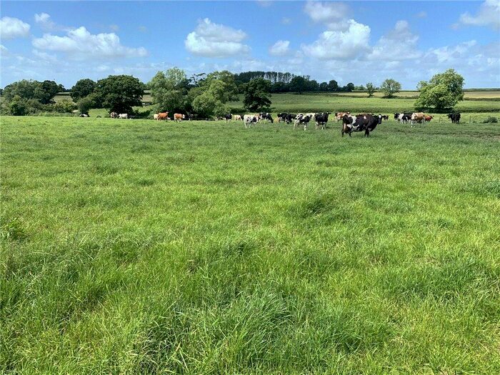 Land For Sale In East Orchard, Shaftesbury, Dorset, SP7