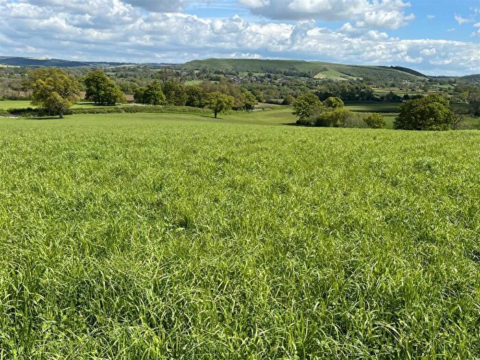Land For Sale In Shillingstone, Blandford, Dorset, DT11
