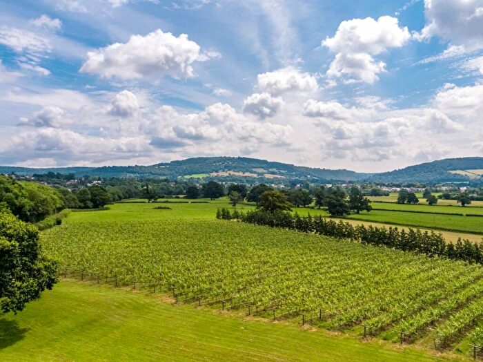 Farm Land For Sale In Ancre Hill Vineyard (Lot ), Ancre Hill, Monmouth, NP25