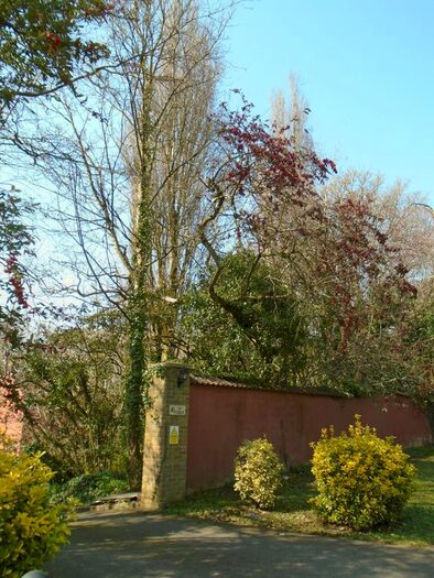 1 Bedroom Flat To Rent In Long Ash Lane, Nr. Dorchester, DT2