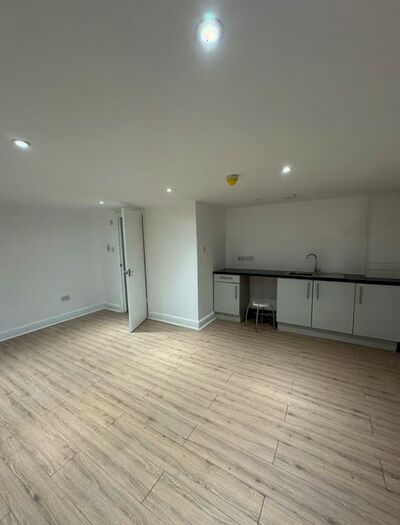 1 Bedroom Studio To Rent In Shaftesbury Road, London, E10