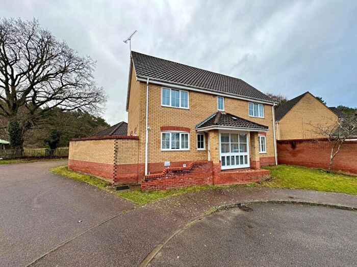 4 Bedroom Detached House To Rent In Pheasant Way, Brandon, IP27