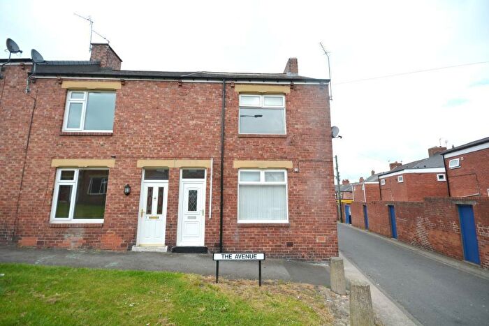 3 Bedroom End Of Terrace House To Rent In The Avenue, Pelton, DH2