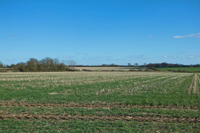 Farm Land For Sale In Land At Kirtling (Lot ), Newmarket, CB8