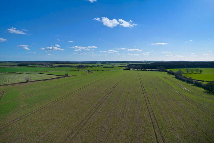Farm Land For Sale In Land At Kirtling (Lot ), Newmarket, CB8