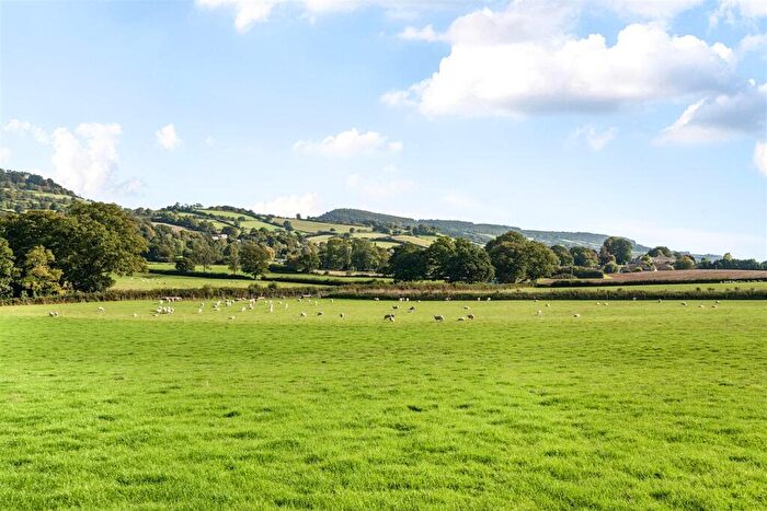Land For Sale In Fluxton, Ottery St Mary, EX11