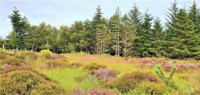 Plot For Sale In Drumchork, Aultbea, Ross-shire, IV22