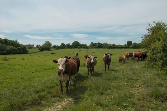 Land For Sale In Southrop, Lechlade, Gloucestershire, GL7