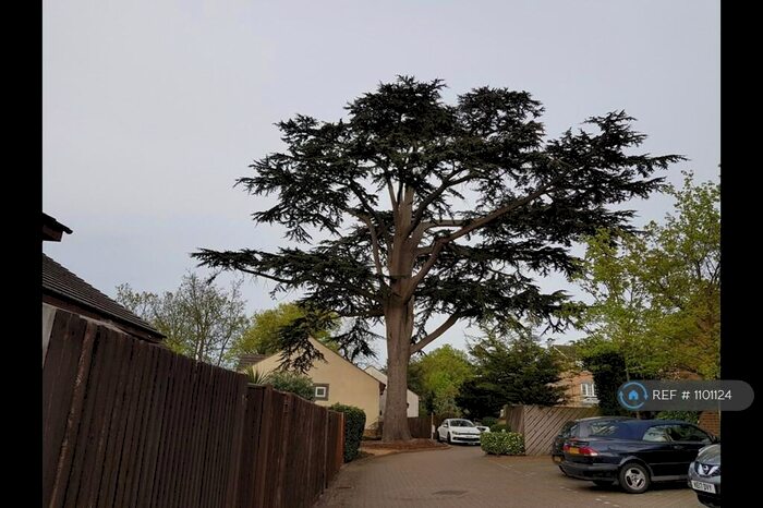 2 Bedroom Terraced House To Rent In Cedarhurst, Bromley, BR1