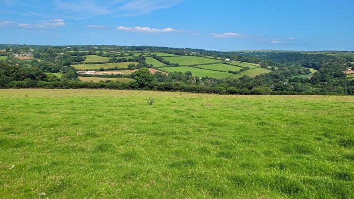 Land For Sale In Tresarrett, Bodmin, PL30