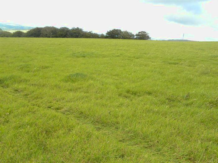 Farm Land For Sale In Blaenplwyf, Llanllwni, Llanybydder, SA40