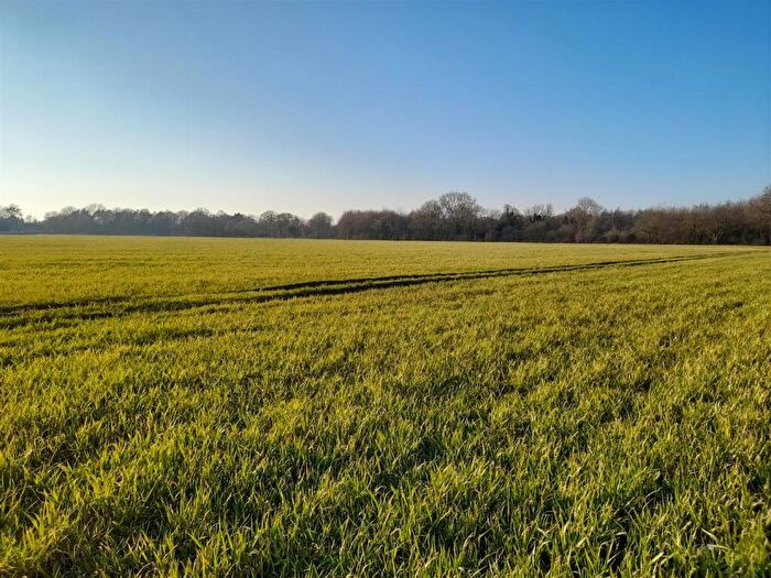 Land For Sale In North Green, Pulham, IP21