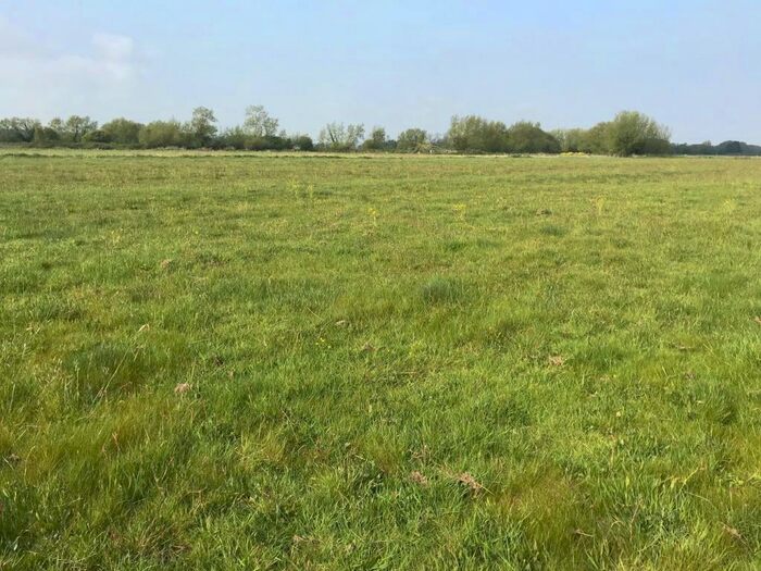 Farm Land For Sale In Lot B - Middle Drove, Glastonbury, BA6