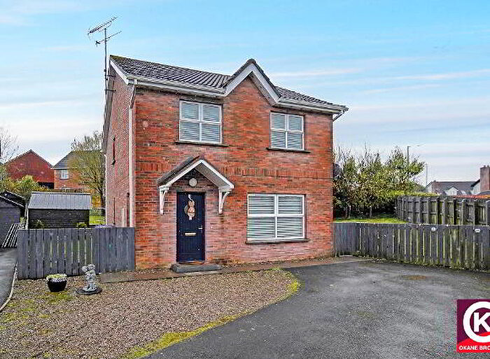 3 Bedroom Detached House For Sale In Coolnagard Rise, Omagh, BT78