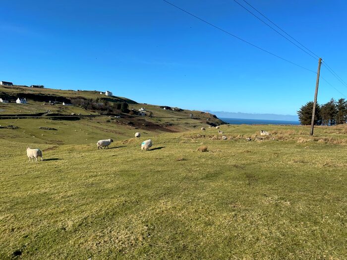 Land For Sale In Glendale, Isle Of Skye, IV55