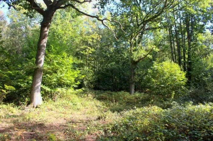 Land For Sale In Canterbury Road, Ashford, Kent TN27