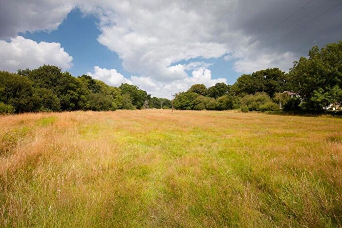 Land For Sale In Forest Links Road, Ferndown, Dorset, BH22