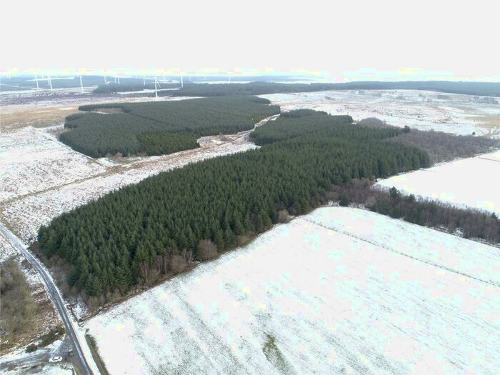 Land For Sale In High Bowhill Wood, Whatriggs Farm, Newmilns, Ayrshire, KA16