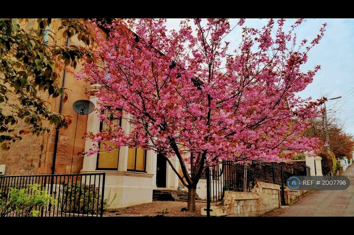 2 Bedroom Flat To Rent In Westercraigs, Glasgow, G31