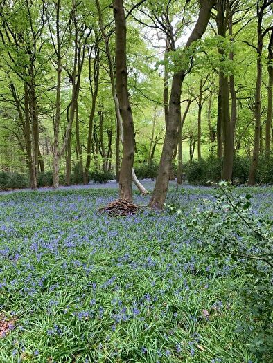 Land For Sale In Checkendon, Reading, Oxfordshire, RG8