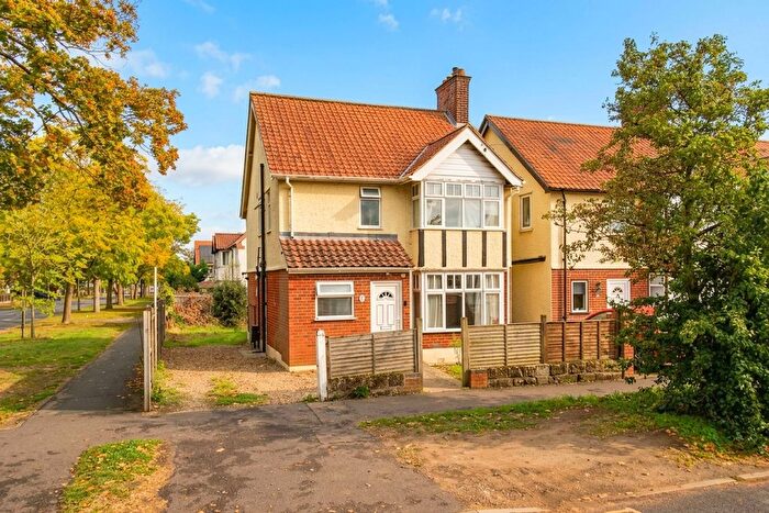 3 Bedroom Detached House For Sale In George Borrow Road, Norwich, NR4