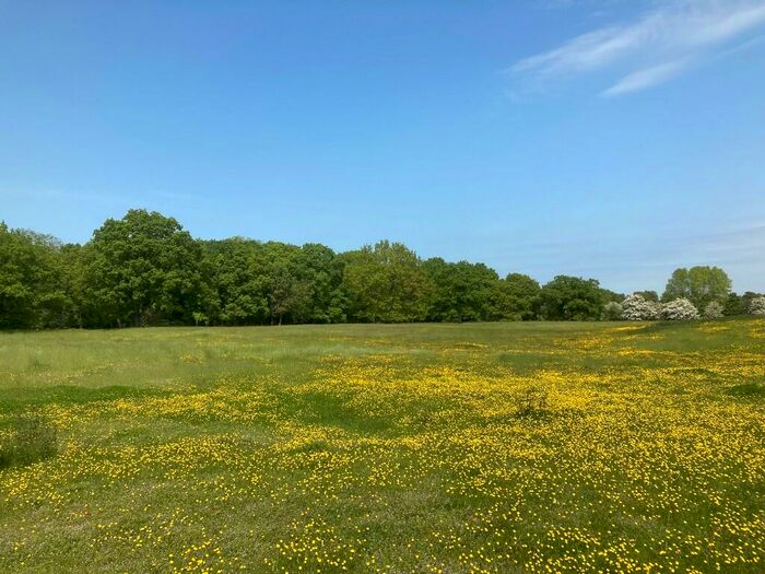 Land For Sale In Land At Cothill, Abingdon, OX13