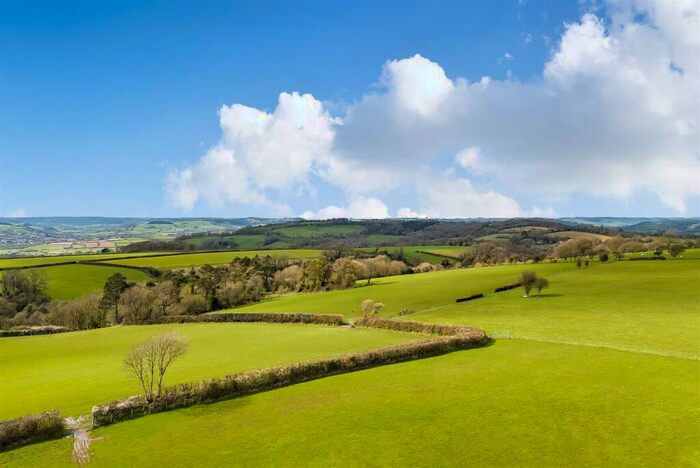 Land For Sale In Trinity Hill Road, Combpyne, Axminster, EX13