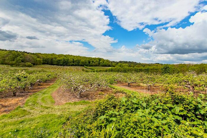 3 Bedroom Terraced House For Sale In Goddards Green Road, Benenden, Cranbrook, TN17