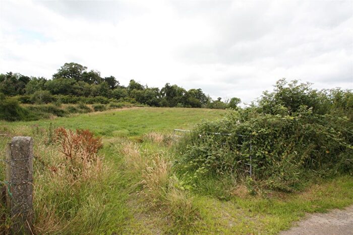 Land For Sale In Monlough Road, Saintfield, Ballynahinch, BT24
