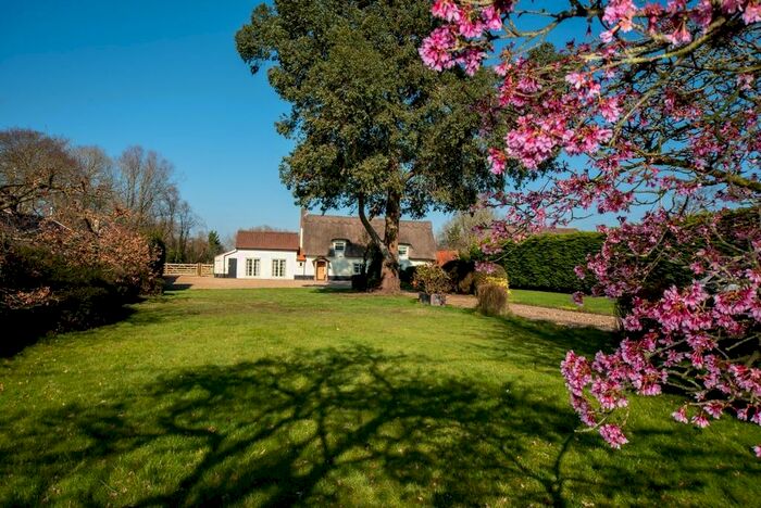 4 Bedroom Detached House For Sale In Walcot Green, Diss, IP22