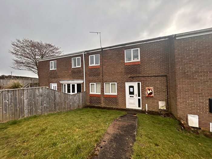 3 Bedroom Terraced House For Sale In Burnside, Esh Winning, Durham, County Durham, DH7
