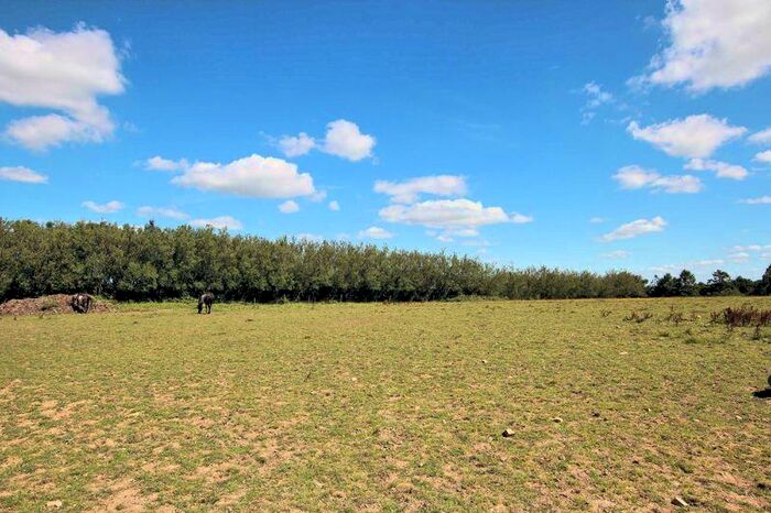 Land For Sale In Sampford Courtenay, Nr. Okehampton, EX20