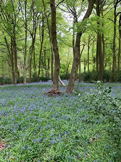 Land For Sale In Checkendon, Reading, Oxfordshire, RG8