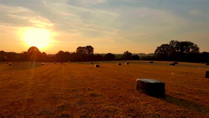 Land For Sale In Newton Lane, Whiteparish, Salisbury, SP5