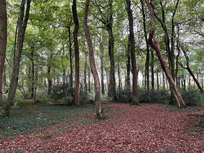 Land For Sale In Pyworthy, Holsworthy, Devon, EX22