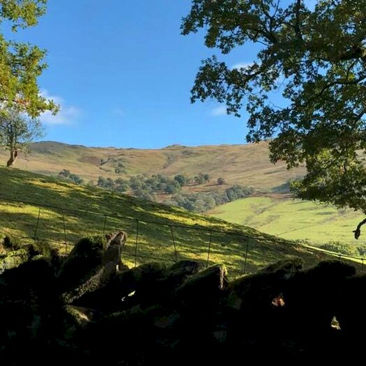 Commercial Land For Sale In Thistly Wood, Kirkstone Road, Ambleside, Cumbria, LA22