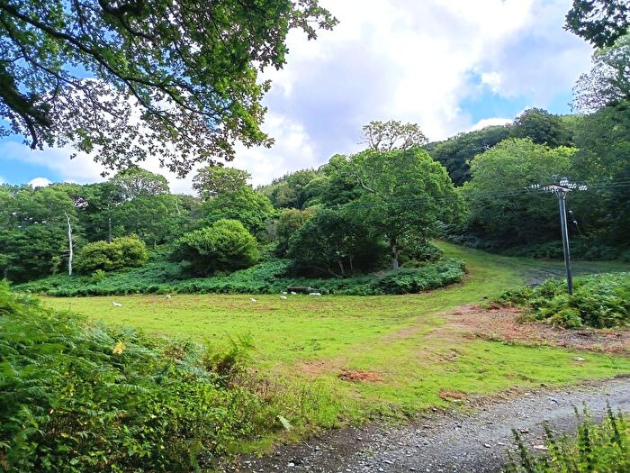 Land For Sale In Glandyfi, Machynlleth, Ceredigion, SY20