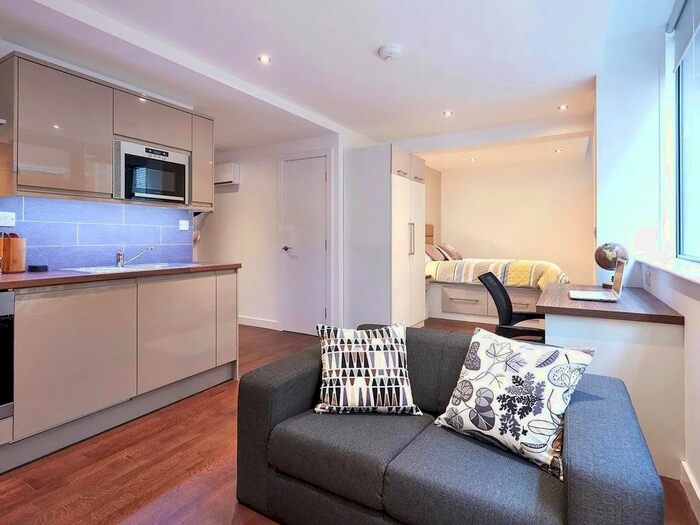 Studio To Rent In Sumner Road, London, SE15