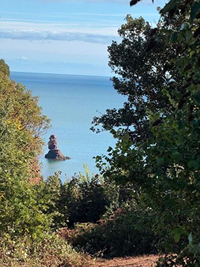 Land For Sale In Smugglers Lane, Dawlish, EX7