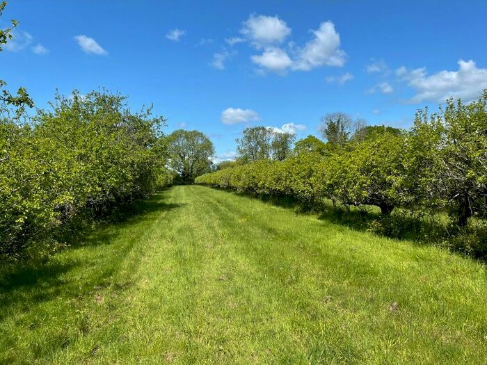 Land For Sale In Droxford Road, SO32